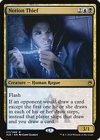 Notion Thief #211