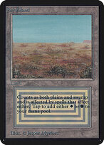 Scrubland #281