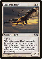 Squadron Hawk #33