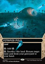 Petrified Field #32