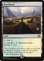 Brushland #259p