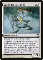 Duskrider Peregrine #14