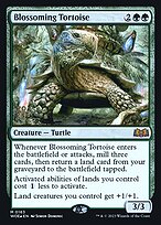 Blossoming Tortoise #163s