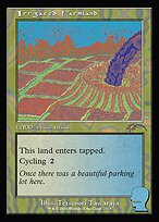 Irrigated Farmland #2519
