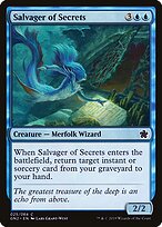 Salvager of Secrets #25