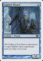 Fugitive Wizard #81