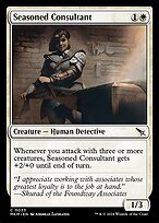 Seasoned Consultant #33