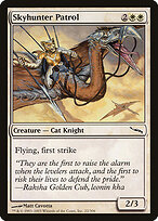 Skyhunter Patrol #22