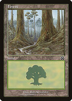 Forest #349