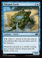 Tidepool Turtle #376