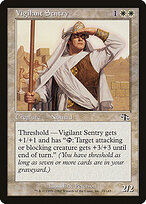 Vigilant Sentry #33