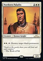 Northern Paladin #29