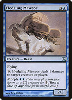 Fledgling Mawcor #63