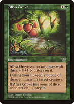 Afiya Grove #205