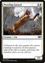 Prowling Caracal #17