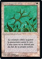 Green Ward #20