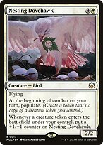 Nesting Dovehawk #17
