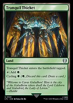 Tranquil Thicket #341