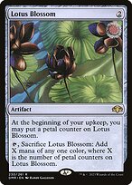 Lotus Blossom #230