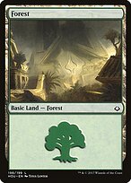Forest #198