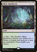 Misty Rainforest #240