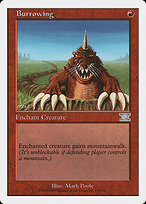 Burrowing #170