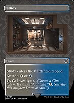 Study #21