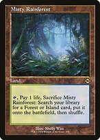 Misty Rainforest #438