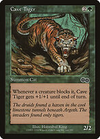 Cave Tiger #241