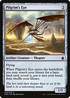 Pilgrim's Eye #224