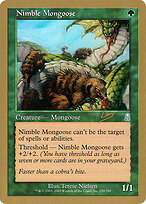 Nimble Mongoose #rl258