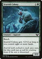 Scurrid Colony #142