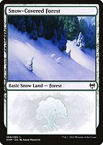 Snow-Covered Forest #284