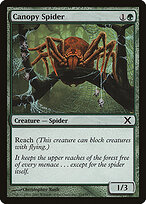 Canopy Spider #254
