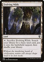 Evolving Wilds #482