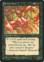 Carrion Ants #90
