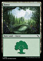 Forest #285