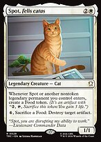 Spot, Felis catus #29