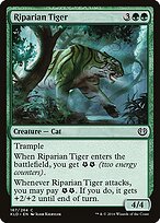 Riparian Tiger #167