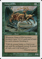Gang of Elk #247