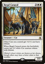 Regal Caracal #24