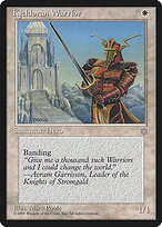 Kjeldoran Warrior #41