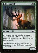 Bellowing Elk #157