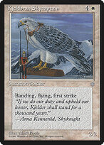 Kjeldoran Skycaptain #39