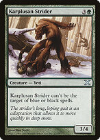 Karplusan Strider #272