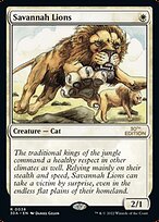 Savannah Lions #38