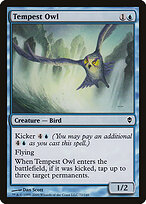 Tempest Owl #72