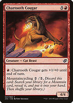 Chartooth Cougar #47