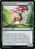 Blossom Prancer #175