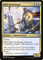 Elite Guardmage #195
